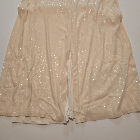 Rosetta Getty Sequin Short Sleeve Maxi Dress In Cream Size M - Picture 7 of 12